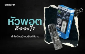 หัวพอต คืออะไร? คำถามที่คนเริ่มสูบต้องหาคำตอบ