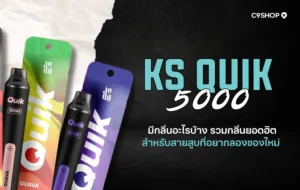 KS Quik 5000 มีกลิ่นอะไรบ้าง? รีวิวกลิ่นยอดนิยมปี 2025