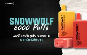 รีวิวพอตใช้แล้วทิ้ง Snowwolf 6000 Puff กลิ่นชัด สูบนุ่ม
